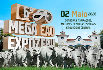 6º MEGA EAO - EXPOZEBU
